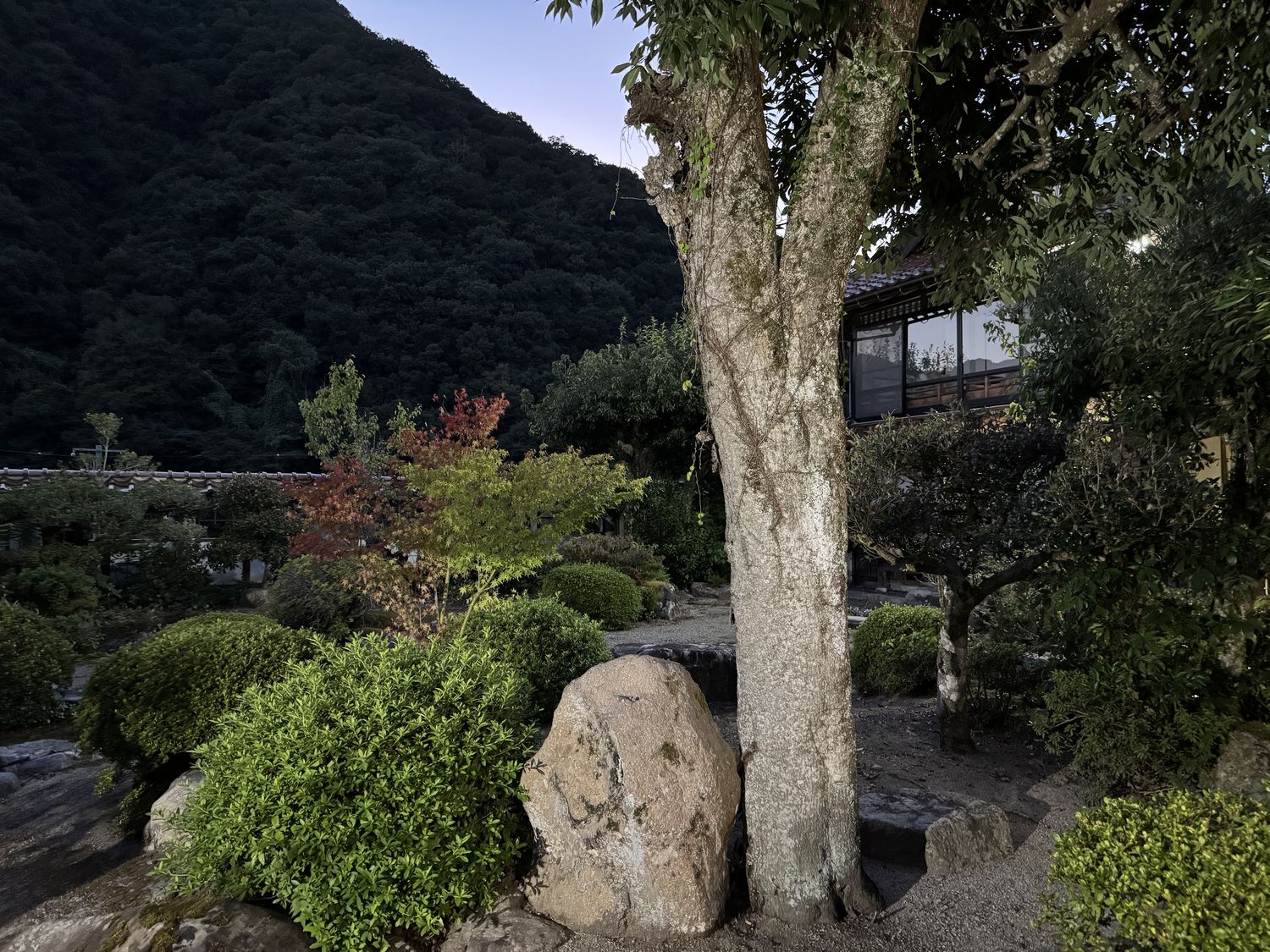 大木と庭石のある庭から、母屋の縁側と背後の山並みを望む